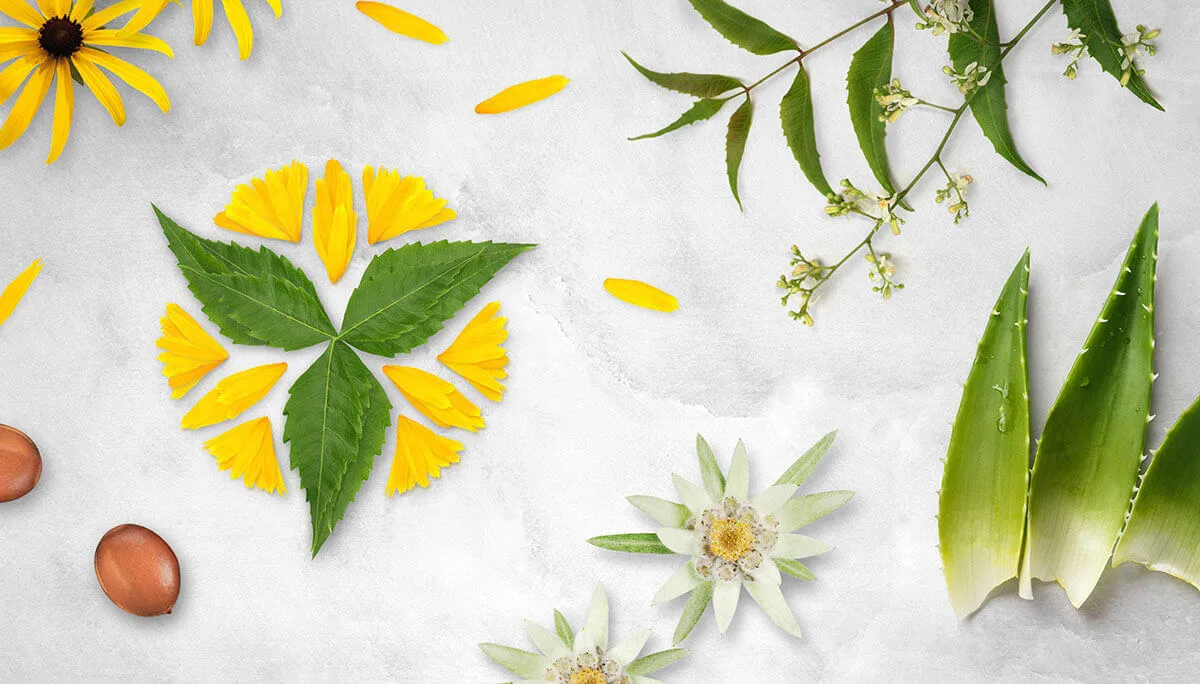 4 Benefits of Organic Skin-Care and Why Natural is Better